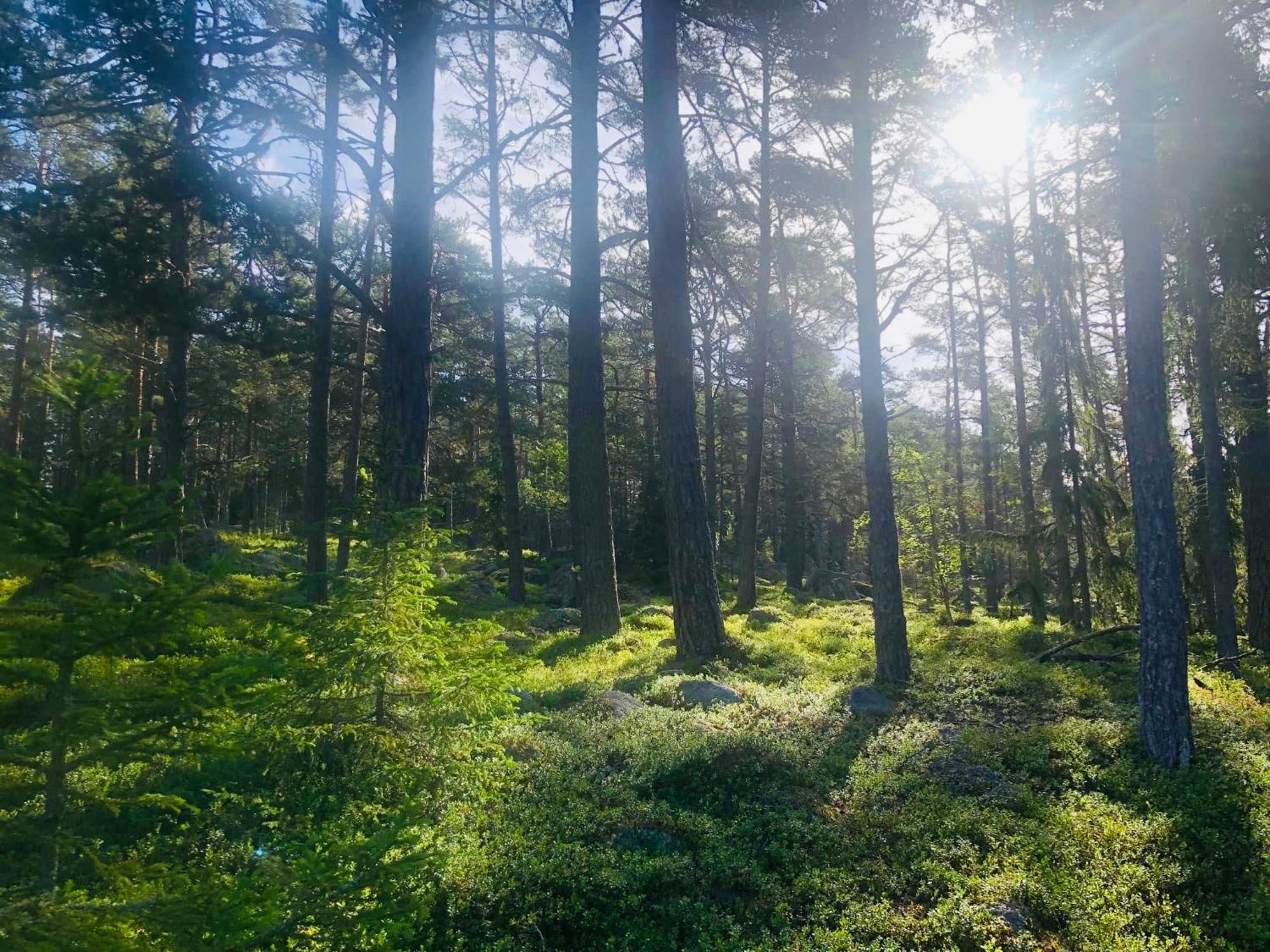 Hoelick Havsresort & Spa Hudiksvall Eksteriør billede