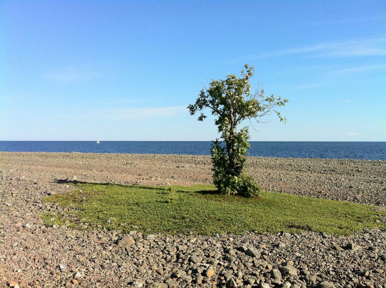 Hoelick Havsresort & Spa Hudiksvall Eksteriør billede